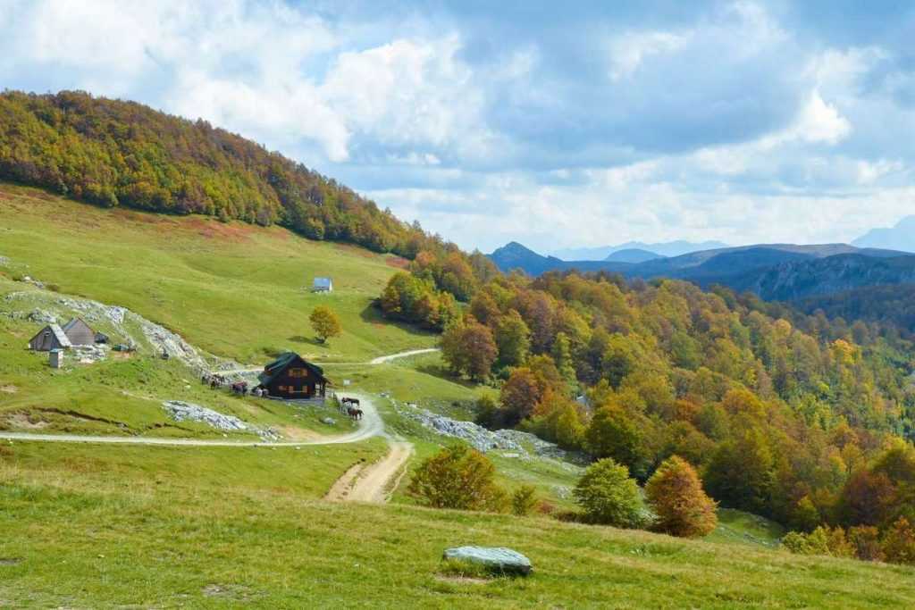 Национални парк Биоградска гора, Црна Гора.